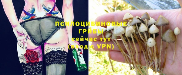 круглые Переславль-Залесский
