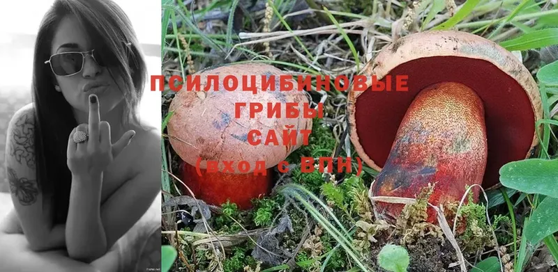 ОМГ ОМГ сайт  Киржач  Галлюциногенные грибы Psilocybe 