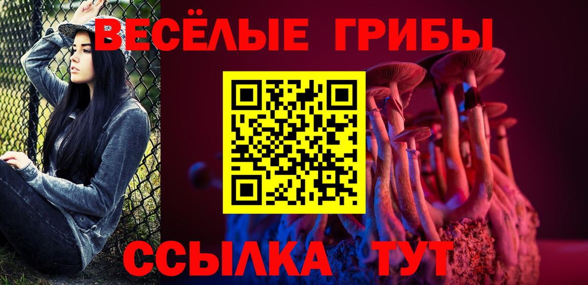 Киржач  Галлюциногенные грибы Psilocybe  закладка  Галлюциногенные грибы мицелий  Вход с VPN 