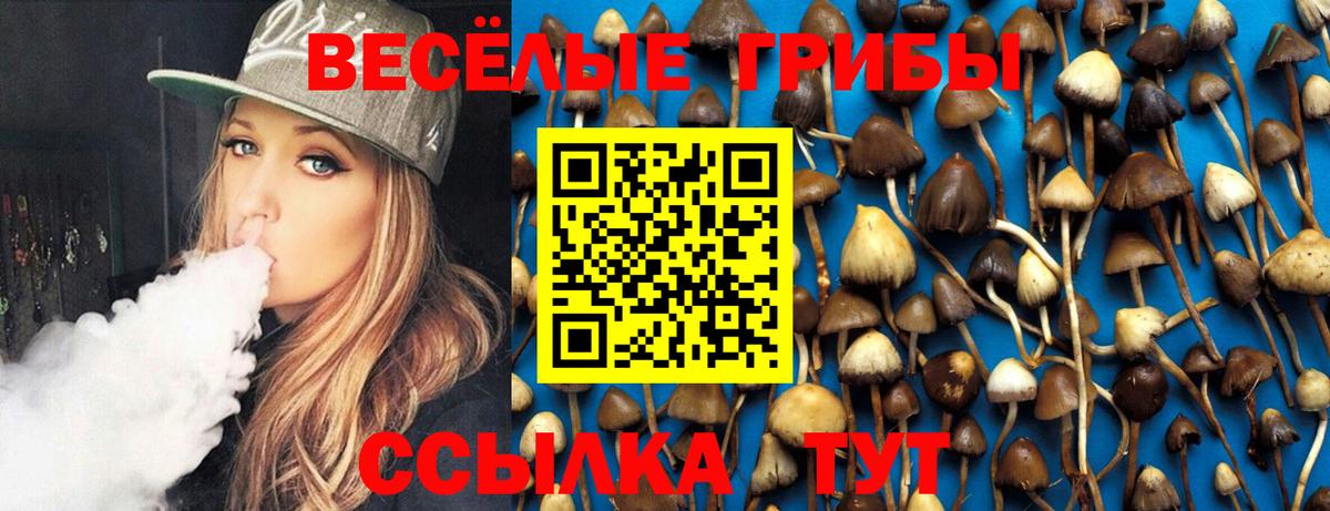 что такое   Галлюциногенные грибы Magic Shrooms  Вход с VPN  Киржач 