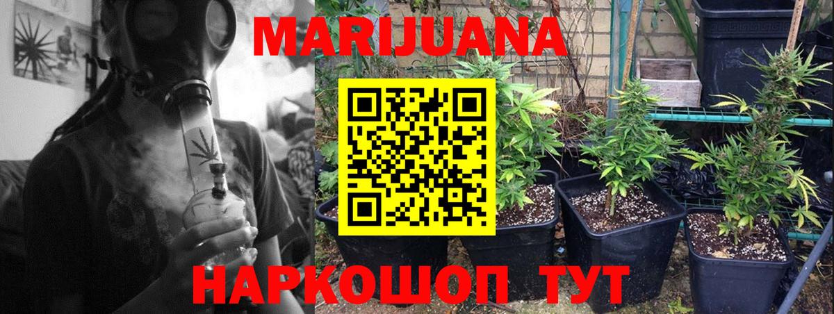 Марихуана Bruce Banner  Марихуана Amnesia  Конопля тримм  Вход с VPN  Киржач 